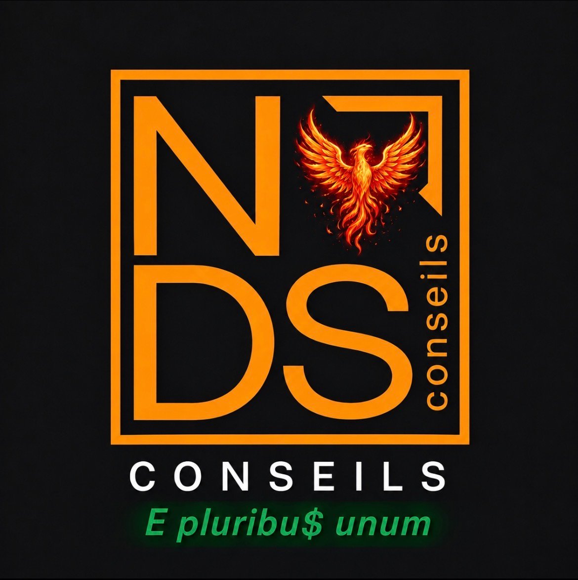 NDS CONSEILS